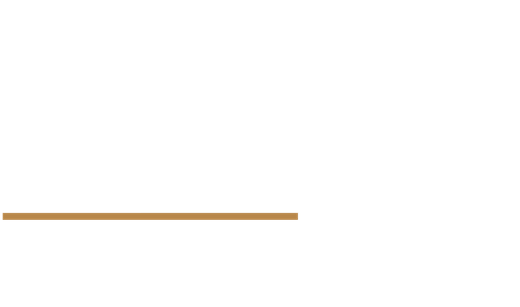 AJ Vision Lab